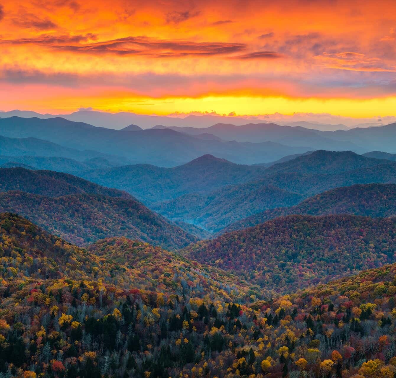 Boone / High Country
